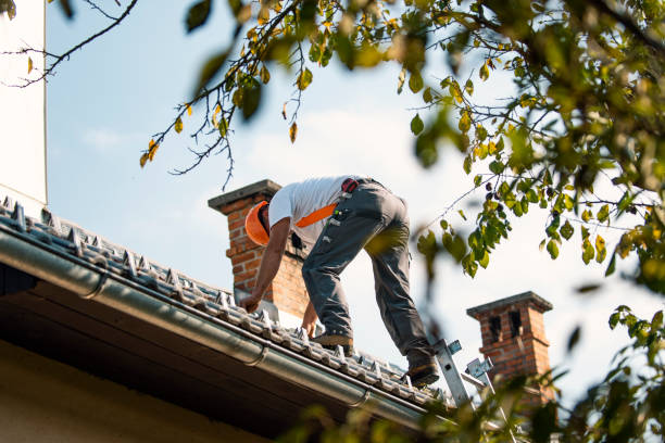 Gutter Installation and Roofing in Jefferson, TX
