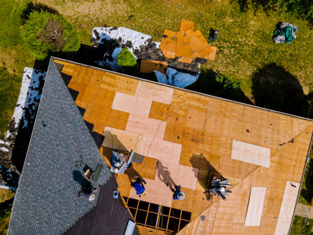 Best Storm Damage Roof Repair  in Jefferson, TX