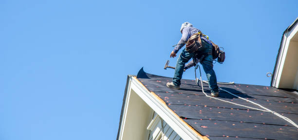 Best Roof Gutter Cleaning  in Jefferson, TX